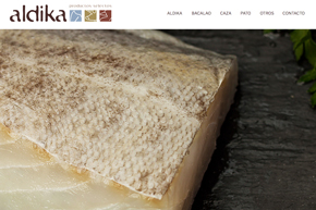 diseño de la página web de aldika en gipuzkoa