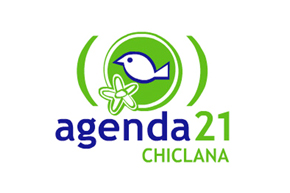 diseño de logotipo en Donostia