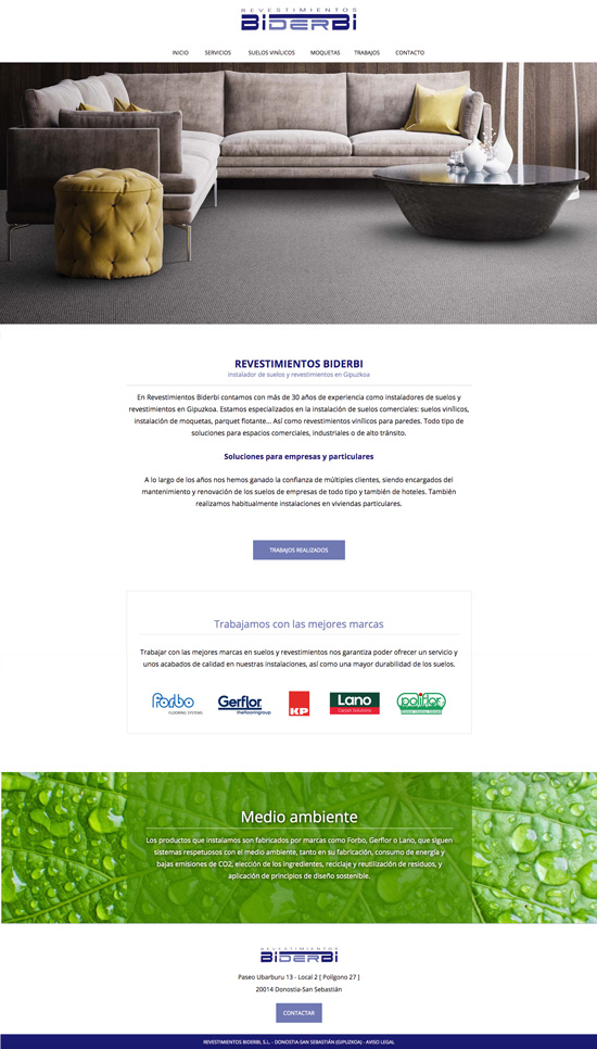 Diseño página web de biderbi en Donostia