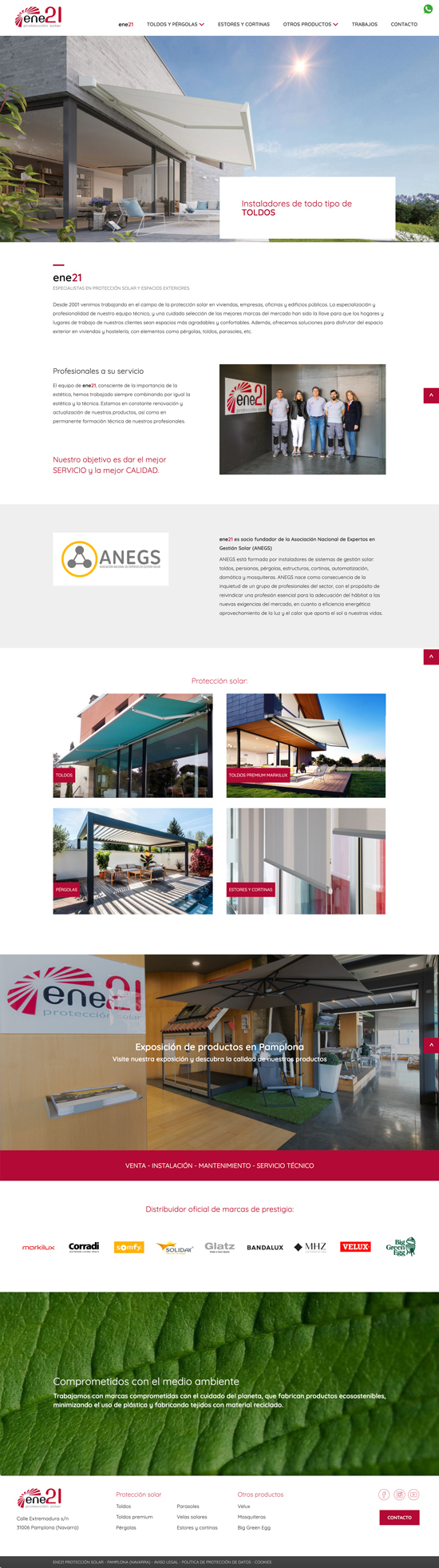 Diseño de la web de ene21 en Gipuzkoa